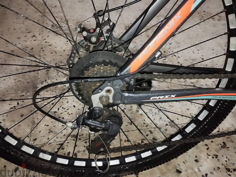 Phoenix mountain BICYCLE 8