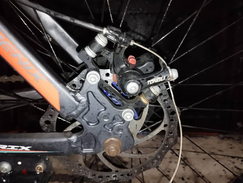 Phoenix mountain BICYCLE 10