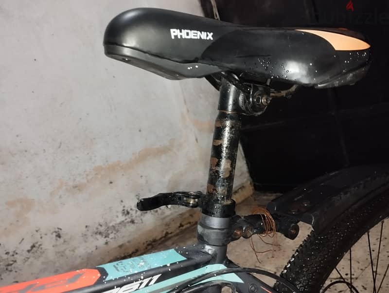 Phoenix mountain BICYCLE 14