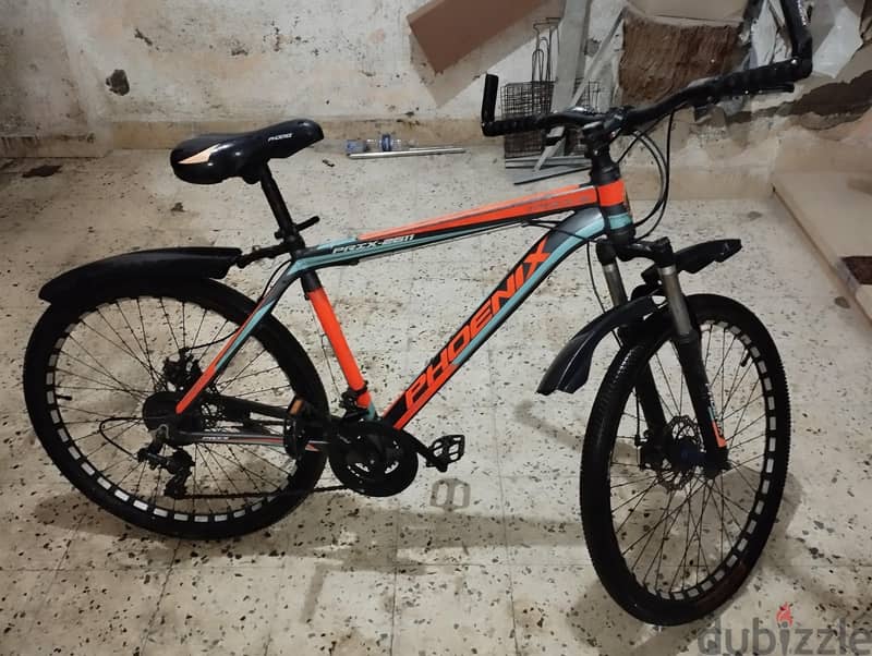 Phoenix mountain BICYCLE 15