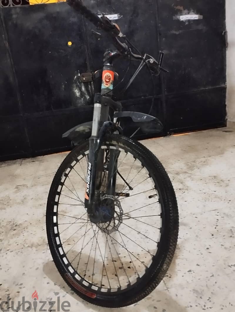 Phoenix mountain BICYCLE 16