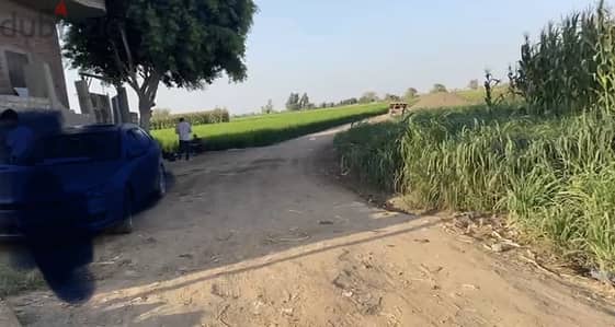ارض للبيع انشاص البصل بالزقازيق
