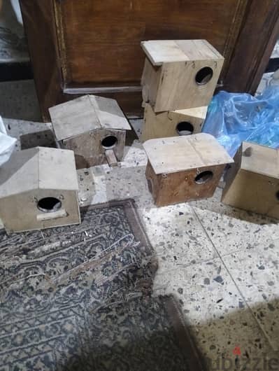 بيع بياضات فيشر استعمال