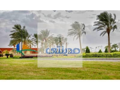 مدينتي B11 مدينتي B11