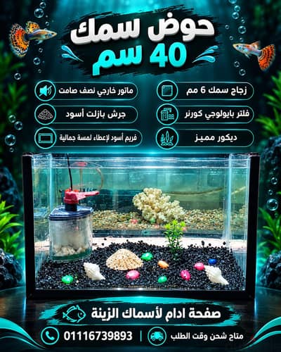 حوض 40 س