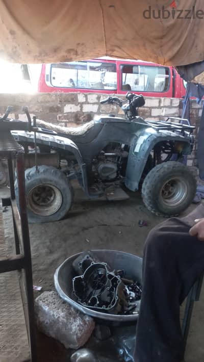 أسيوط  ابوتيج