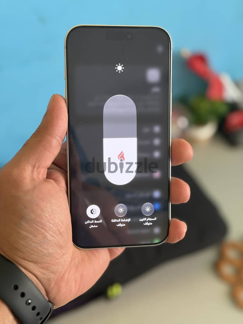 iPhone 17 Pro Max – 256GB | Silver  10