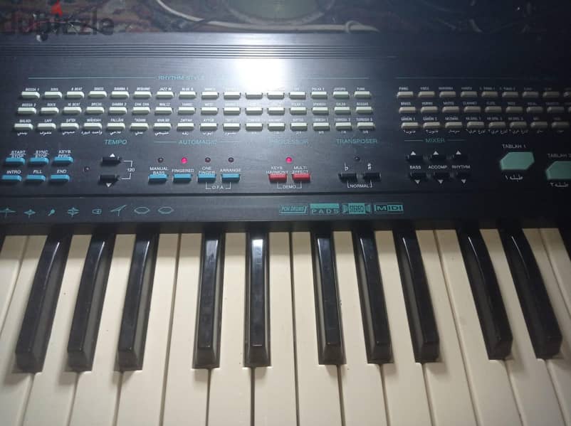 gem px3  oriental 3