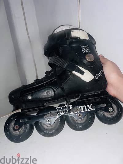 باتيناج skate lynx