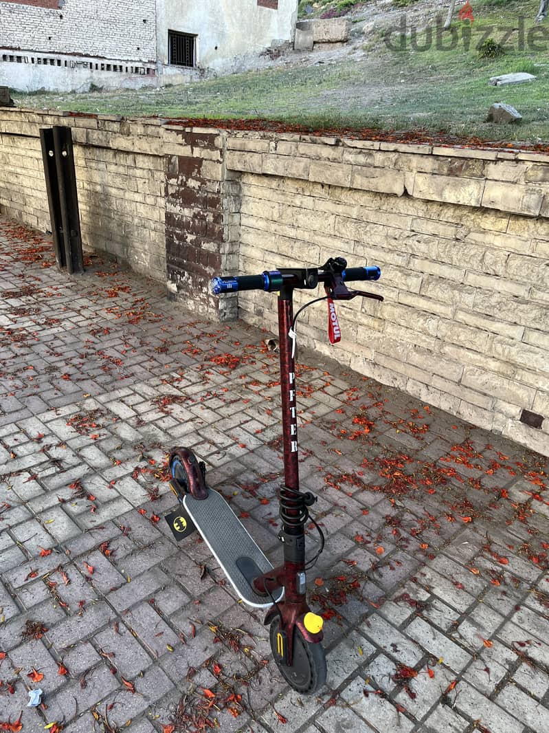 Electric scooter essential 1