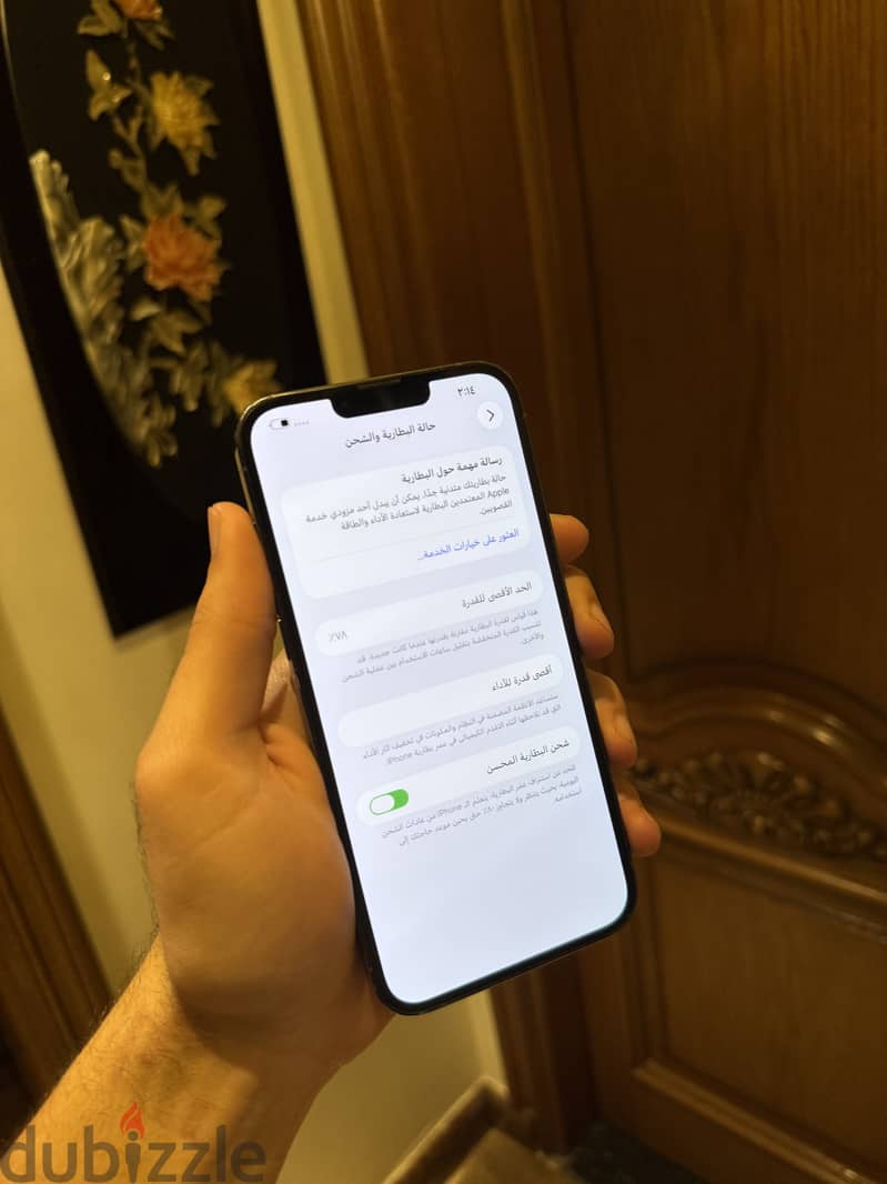 iPhone 13 Pro Max 1