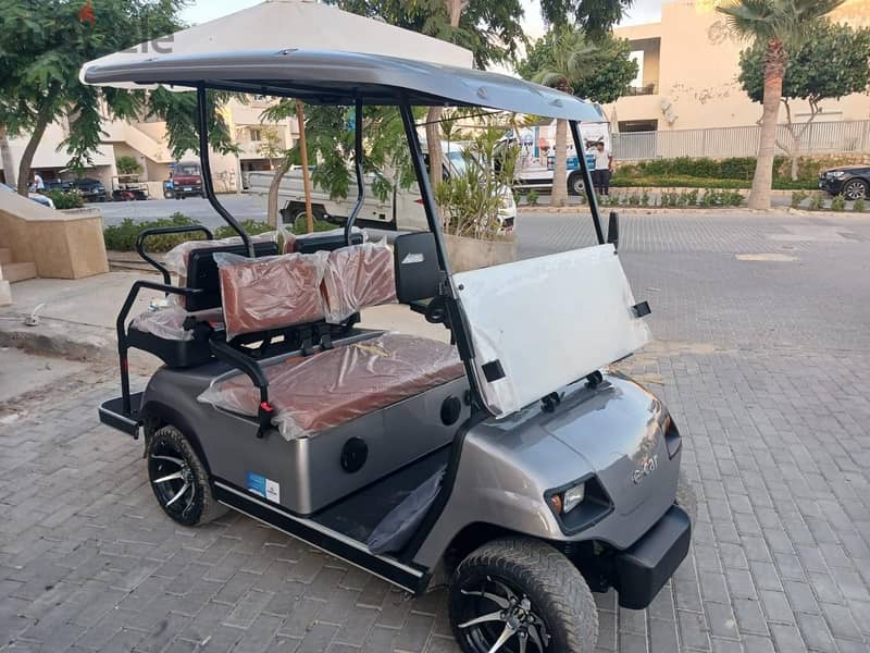 E-Car Matgr 1