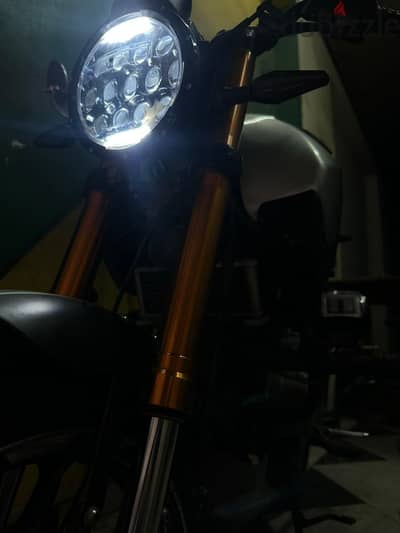 TX 250