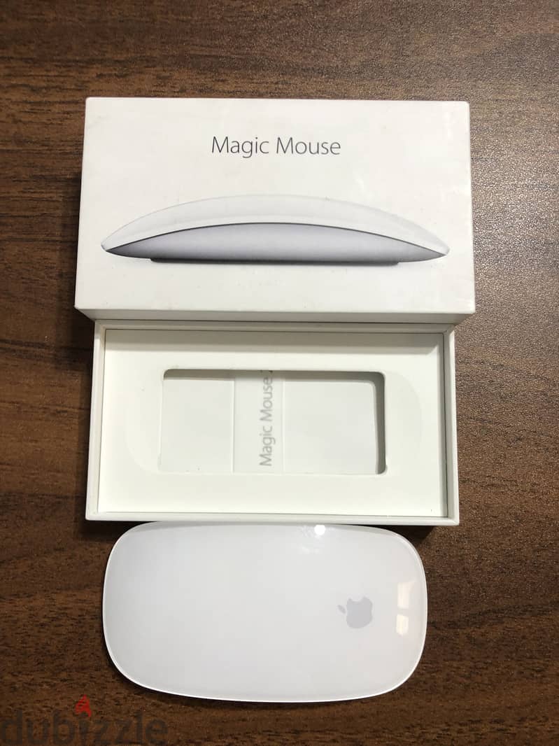 Apple Magic Mouse 2 4