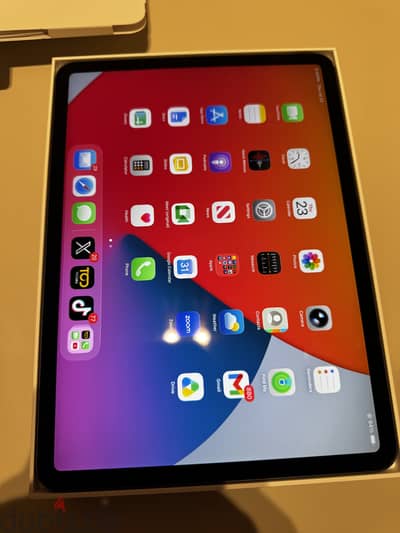 iPad Pro 11 inch 256GB