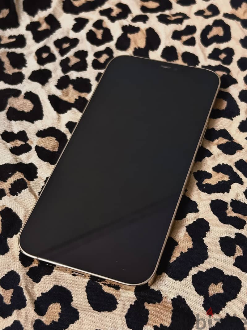 Apple - iPhone 12 Pro Max 1