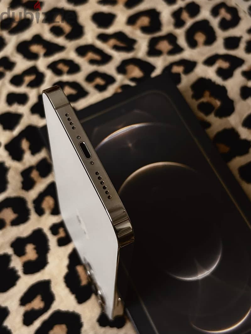 Apple - iPhone 12 Pro Max 2