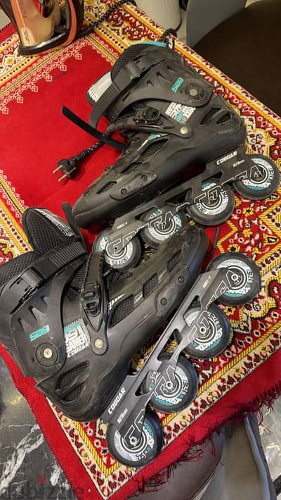 skate 509 skate 509