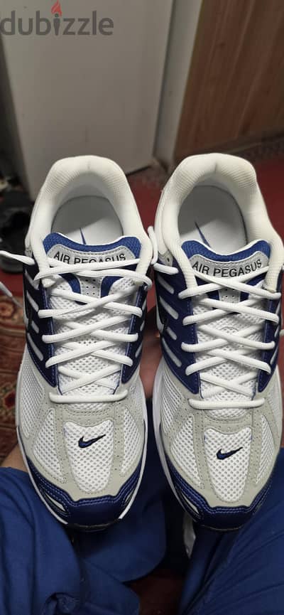 nike air pegasus 2005 original