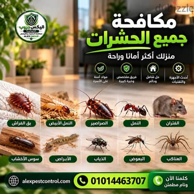 مكافحة الحشرات والقوارض  فى مدينة العبور