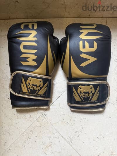 Venum Boxing Gloves Challenger 2.0