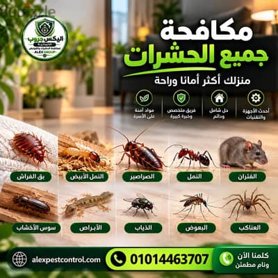 مكافحة الحشرات والقوارض  فى مصر الجديدة