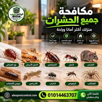 مكافحة الحشرات والقوارض  فى نيو جيزه