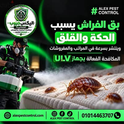 شركة مكافحة الحشرات والصراصير والبق بأفضل الأسعار