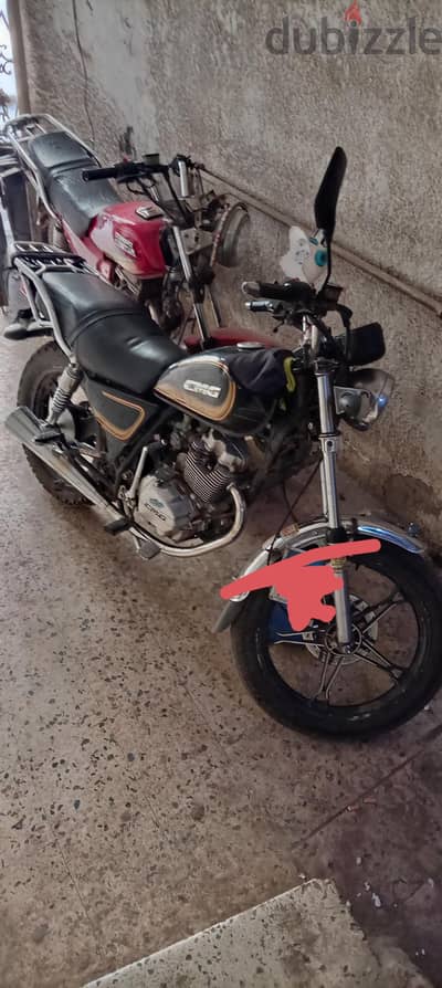 cmg 3 2019 حدادى