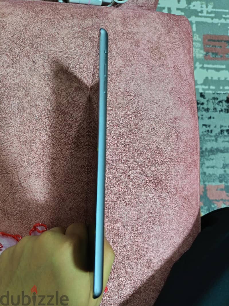 iPad mini 2