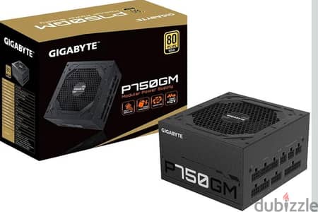 Gigabyte P750GM 750W 80 Plus Gold Fully Modular Power Supply