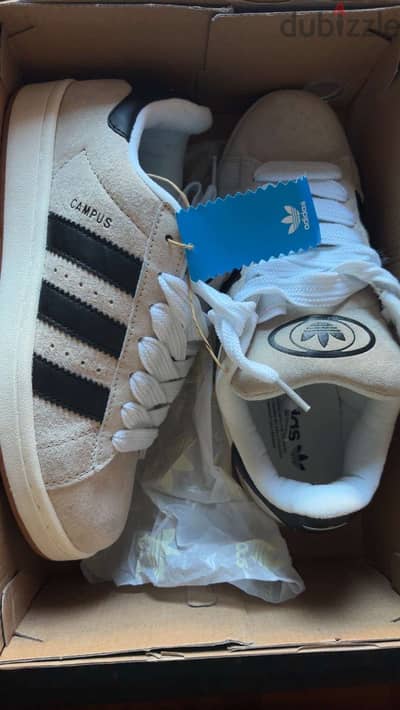 adidas campus