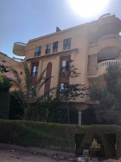 المنطقة التاسعة