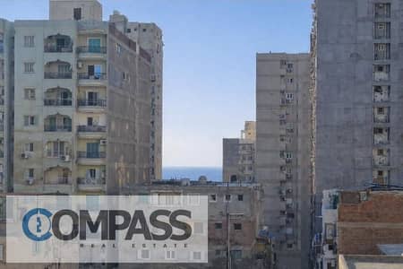 شقة للبيع في كليوبترا - دور كامل