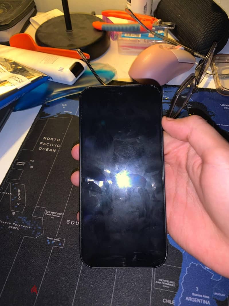 Google Pixel 9 1