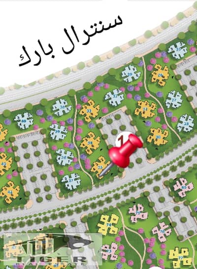 لقطة للبيع في نور سمارت 131م، فيو مفتوح بجوار الخدمات، ثالث عمارة من السنترال، شامل النادي، تقسيط حتى 14 سنة، حجز قديم!
