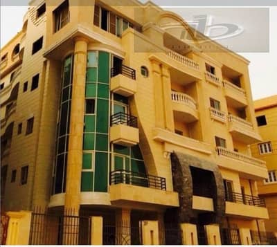 اللوتس الجنوبيه بالقرب من الجامعه الامريكيه