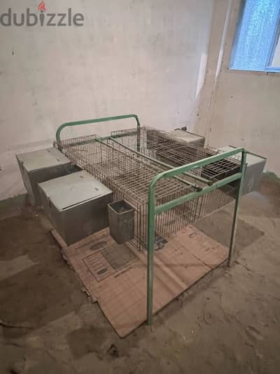 بطارية ارانب ٤ عين
