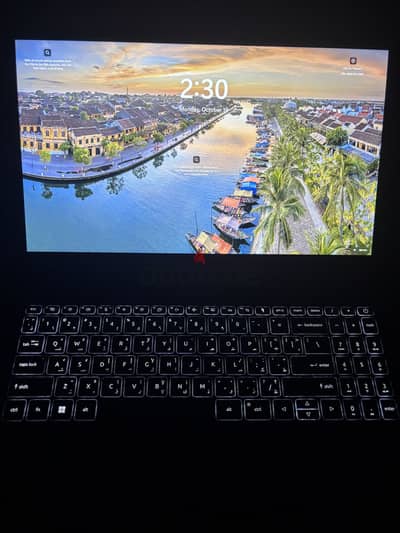 Acer Nitro V15