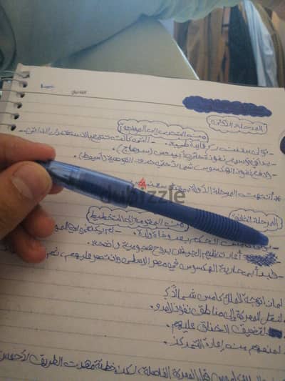 قلم من العصر الجاهلي