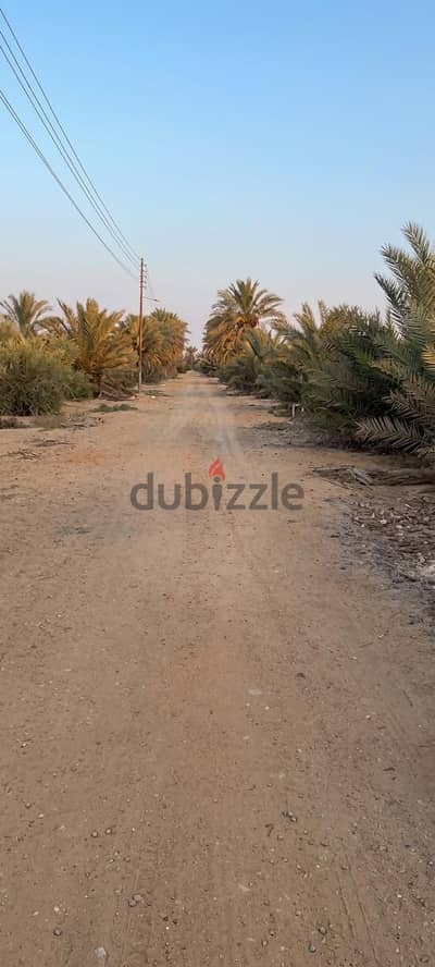 مزرعة ١٥ فدان على طريق الاسماعلية الصحراوي