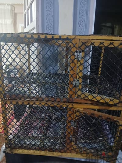 قفص حمام  خشب في سلك   دورين  عمولة