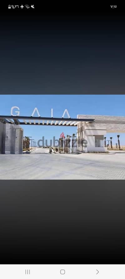 جايا راس الحكمه