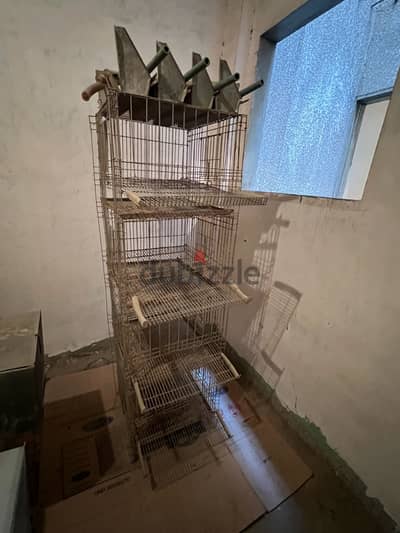 بطاريه فراخ بياض - افقي