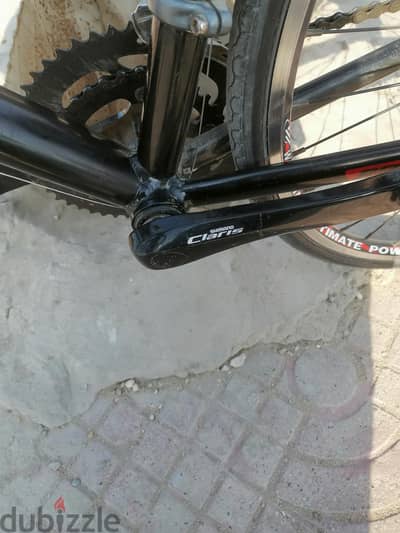 Trinx r800