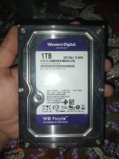 هارد 1 تيرا WD purple