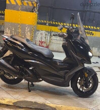 زونتس  m310
