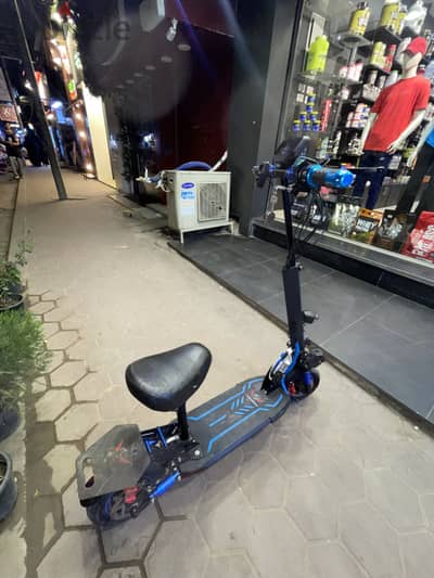 Scoter
