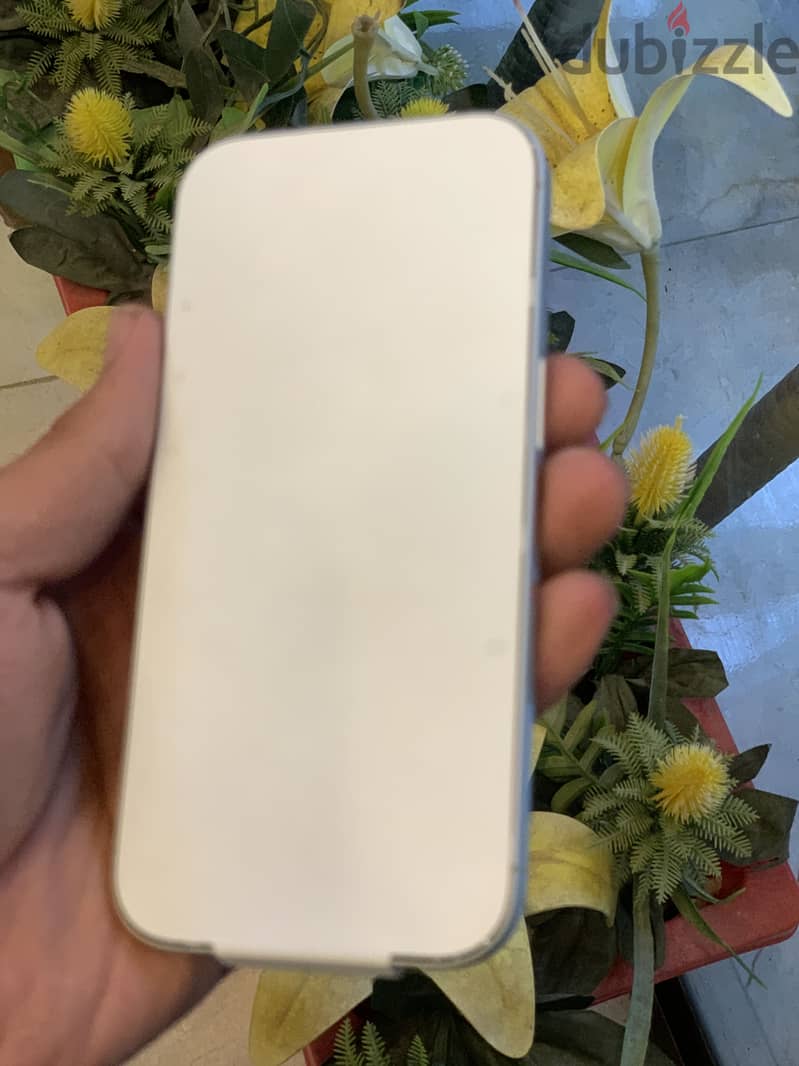 iPhone 17 4