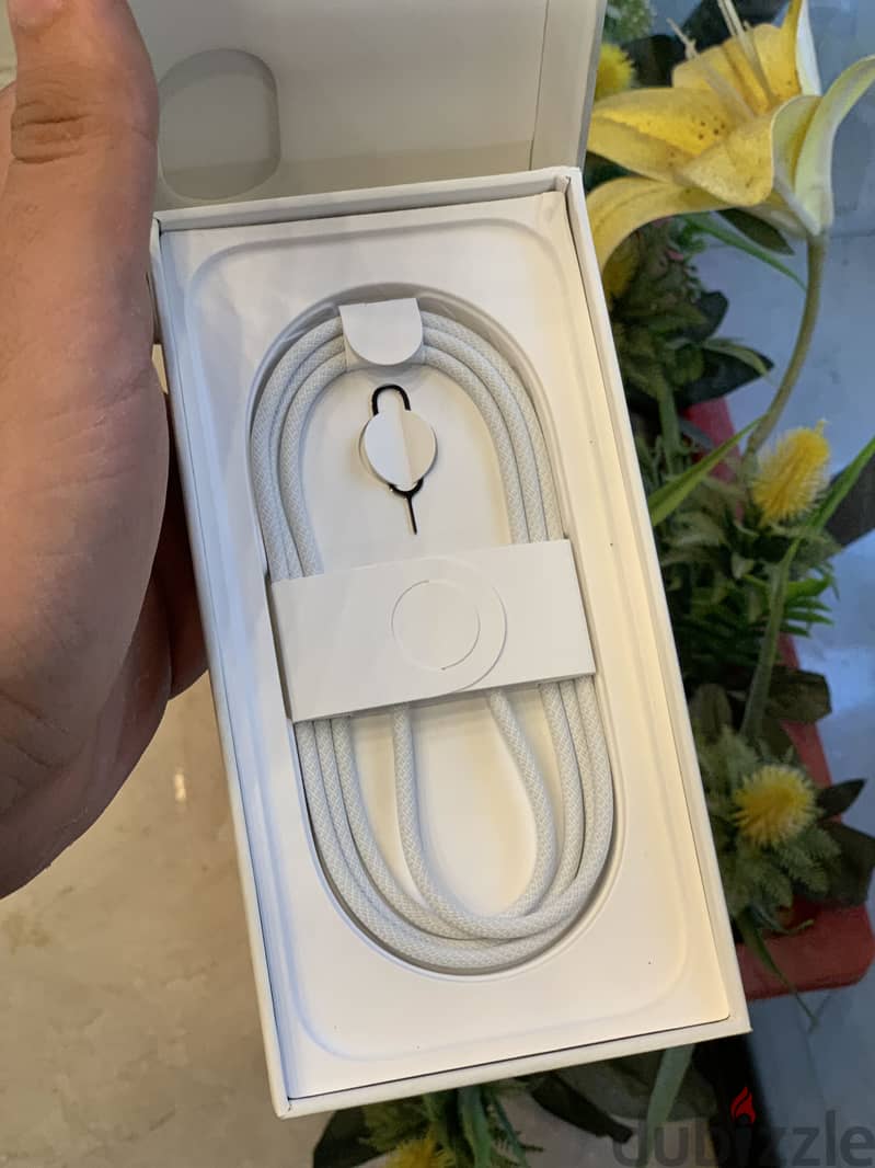 iPhone 17 5